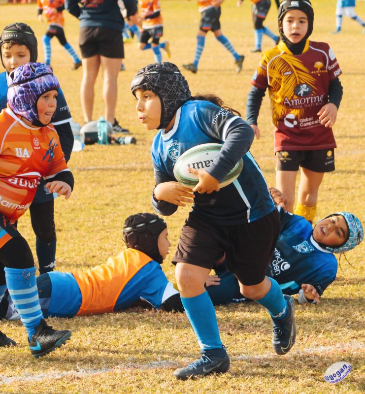 Federacion de Rugby de la Comunitat Valenciana