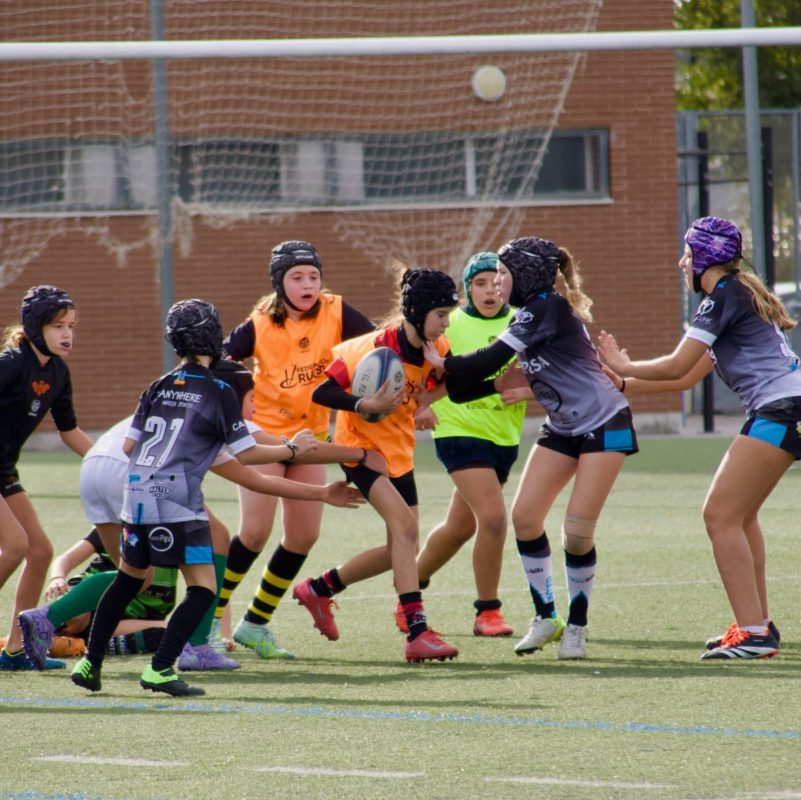 Federacion de Rugby de la Comunitat Valenciana