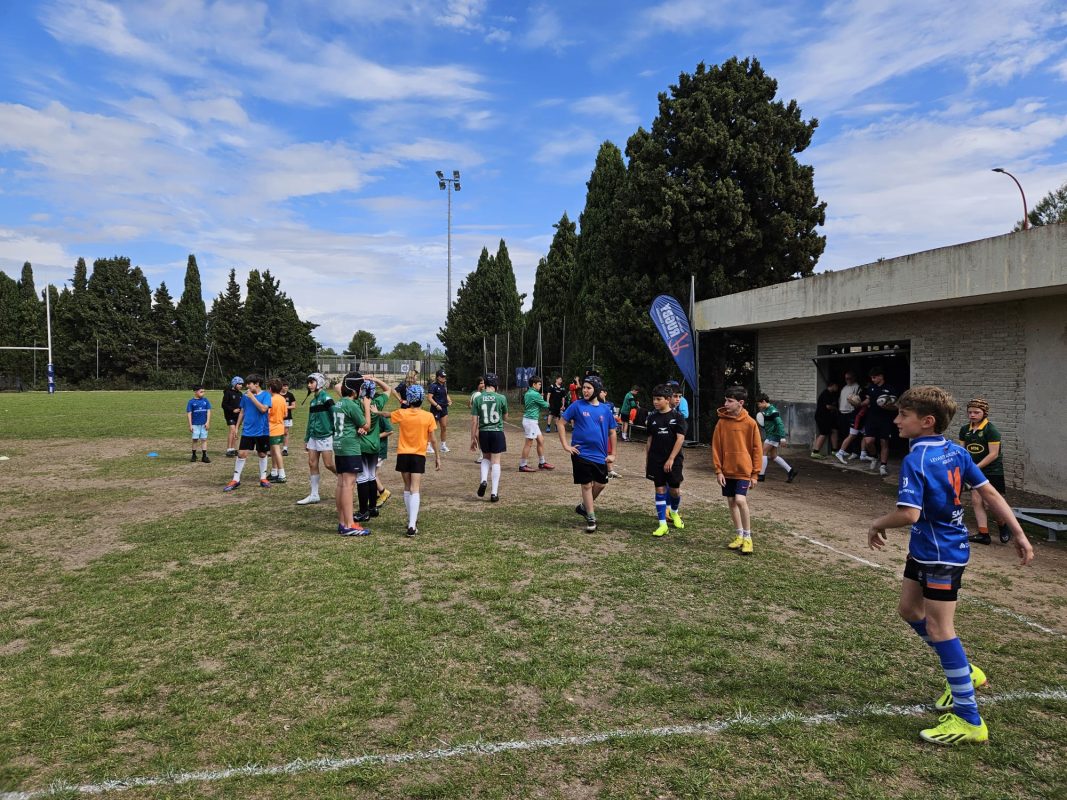 Federacion de Rugby de la Comunitat Valenciana